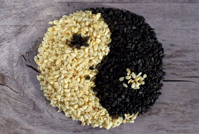 ying-yang hecho de semillas